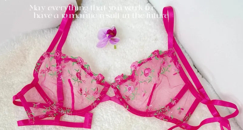 Kawaii Japanese Lingerie Set Sheer Tulle Pink Floral Embroidery Bra Bralette sek-si Pure Matching Set BANERDANNI Tushy Bras