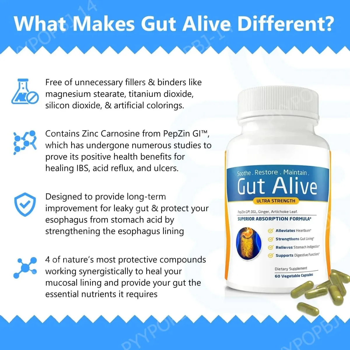 Gut Alive - All Natural Support to Fight IBS Heartburn Acid Indigestion Acid Reflux Bloating & Gas Unique Formulation 60 Count