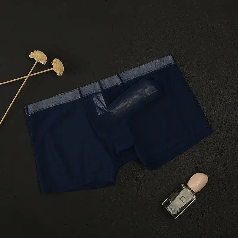 Erotic Men's Boxy Underwear Gays Sexy Low Waist Elephant Nose Boxer Shorts Thin Mesh Transparent Breathable Lightweight Panties