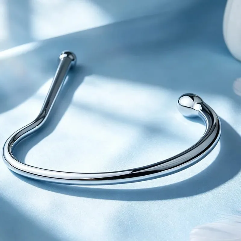 Metal Anal Hook Big Butt Plug Pharaoh's Snake Staff Prostate Massage Anus Masturbation Adult Sex Toys for Men Gay AnalPlug