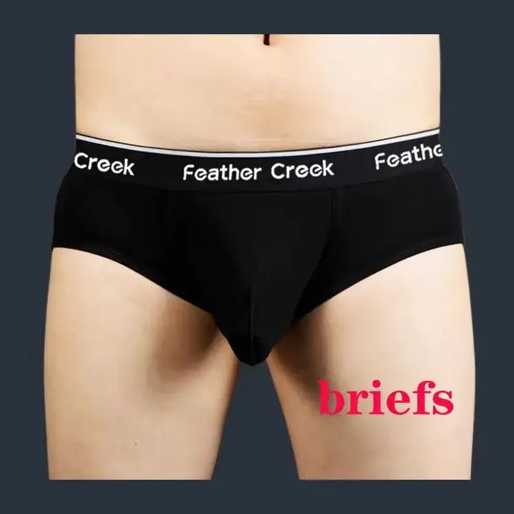 2026 Men's U-Shaped Large Bag Underwear Sexy Briefs Comfortable Innerwear for Men