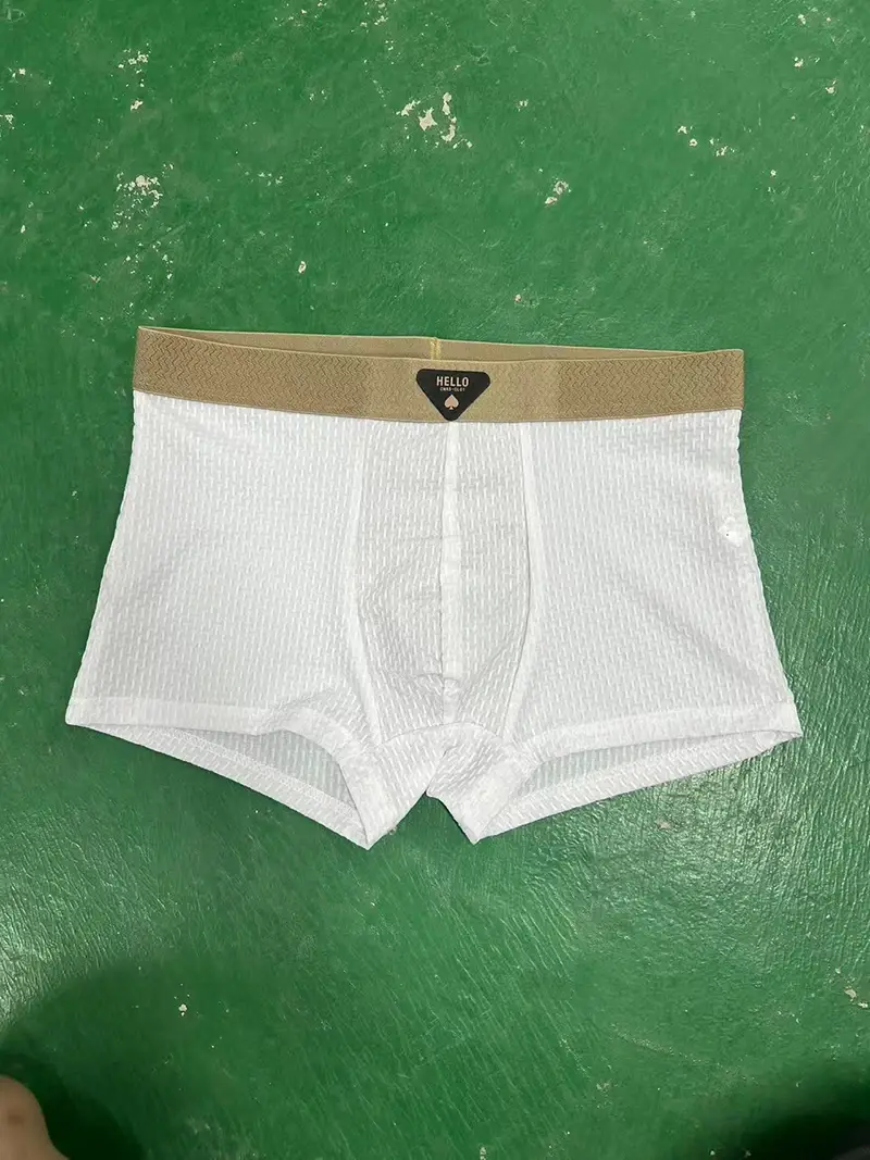 4pcs Men's Boxer Shorts Ice Silk Underwear Underpants Cool Breathable Sexy Slim Panties Mesh Lingerie