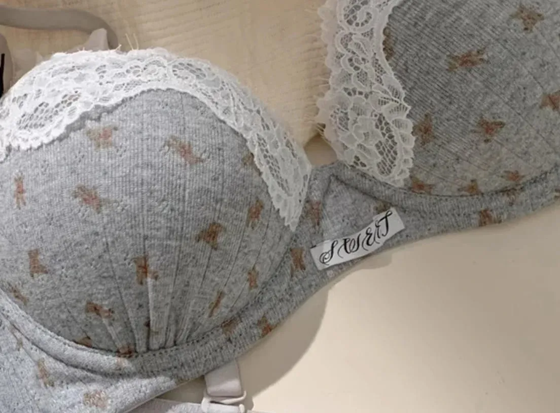 Sexy Lace Lingerie Set for Women Push Up Bra & Panty Set Summer Cute Underwear