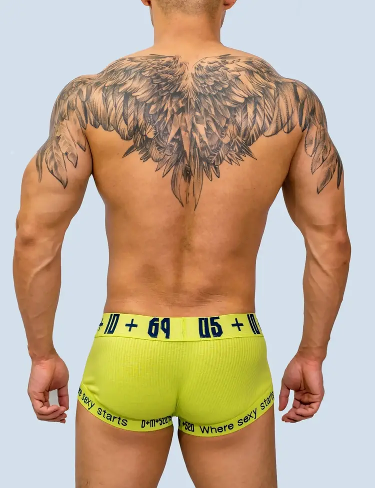 Male Underwear Gay Underpants Boxer Ropa Interior Hombre Cueca Masculina Solid Boxer Homme Underwear Boxer Para Hombre Bielizna