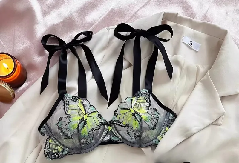 Butterfly Embroidery French Lace Bra Sheer Net Elastic Straps No Padding Romantic Womens Lingerie Set S-XL Soft Comfy