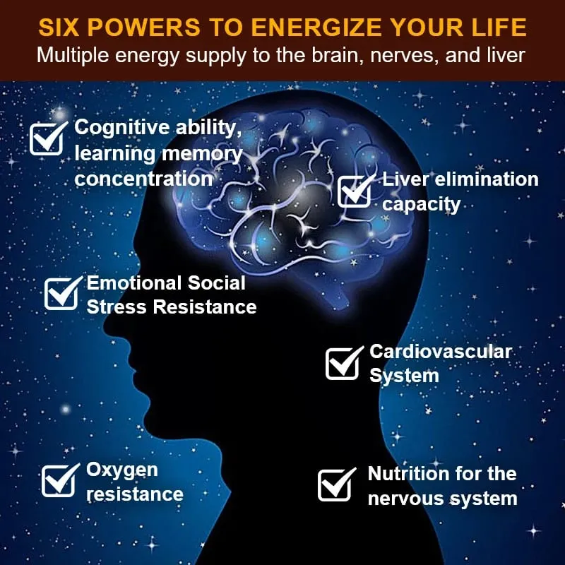 PQQ Capsules 20 mg with Bacopa Monnieri & ALA Supports Mitochondrial Function Stress Management Heart Health & Brain Energy