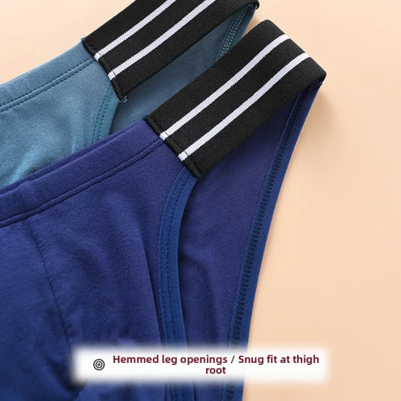 Underpants Lingerie Men's Triangle Panties Stripe Breathable Men Thin Briefs Mid Waist Large Size Underwear for Men Gifts