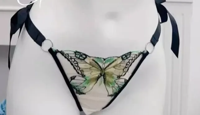 Butterfly Embroidery French Lace Bra Sheer Net Elastic Straps No Padding Romantic Womens Lingerie Set S-XL Soft Comfy