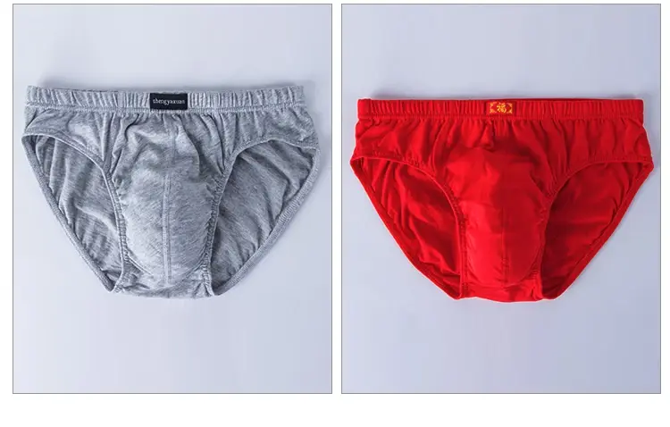 5Pcs/Lot Cotton Underpants for Men Briefs Male Underwear Knickers Panties Pant Shorts Sexy Undies in Sizes XL to 6XL
