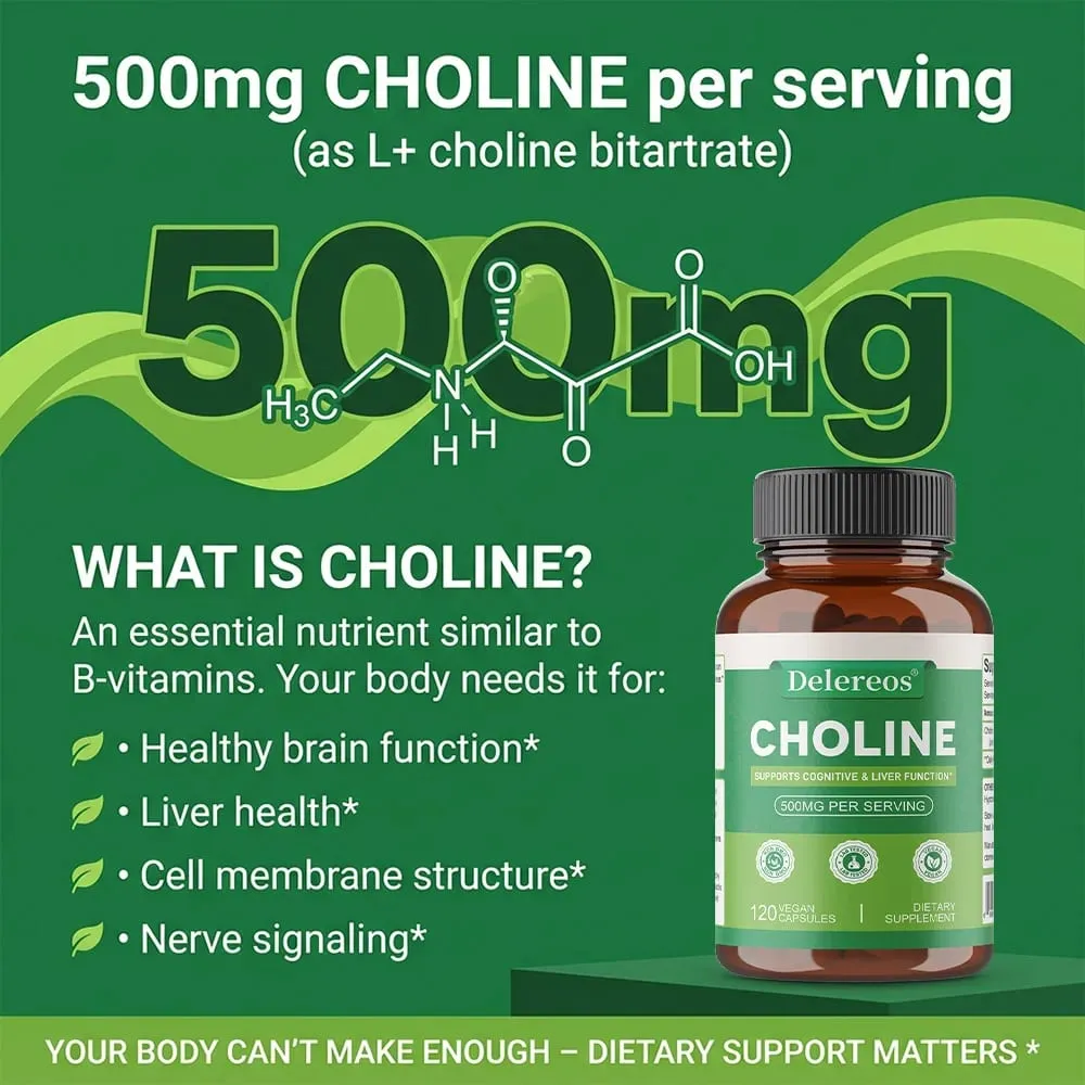 Choline 500mg - High Potency Choline Supplements Supports Cognitive Performance & Liver Function Vegan Capsules Non-GMO