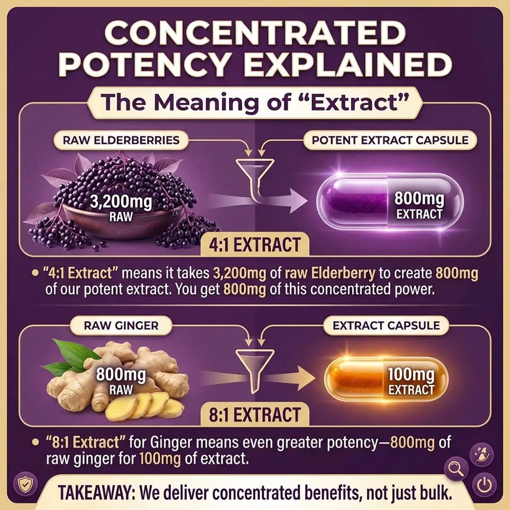 Elderberry Capsules Supports Skin Radiance Tone Immune Wellness for Adults Natural Herbal Supplement Antioxidant