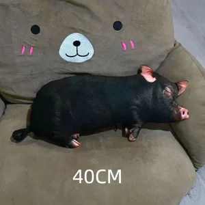 40cm A5