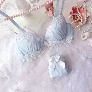 Ricamo push up lingerie da donna coppe sottili reggiseni per studenti in stile college ragazze carino set di reggiseno intimo sexy raccolto
