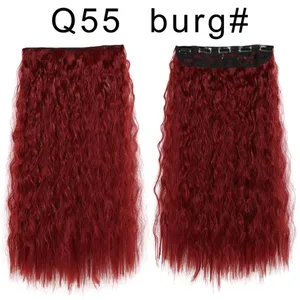Q55 Bug