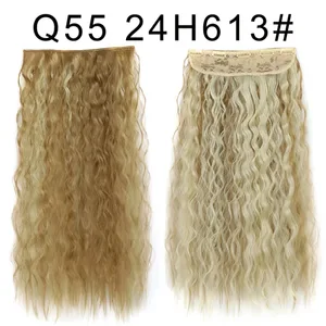 Q55 24H613