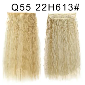 Q55 22H613