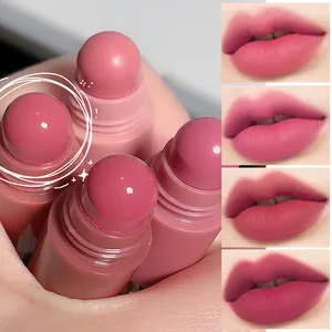 4 em 1 batom fosco lápis kit combinação veludo sexy vermelho lábio matiz antiaderente copo multicor batom caneta maquiagem lábios conjunto de cosméticos