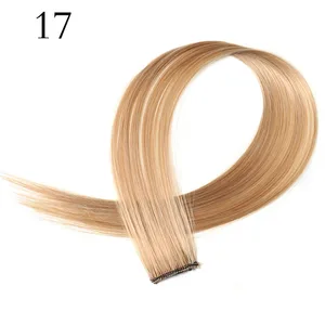 SM66-17