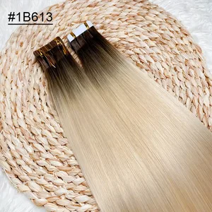 1b 613 ombre