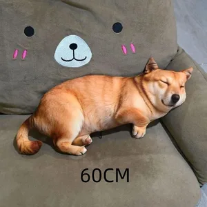 60cm A15