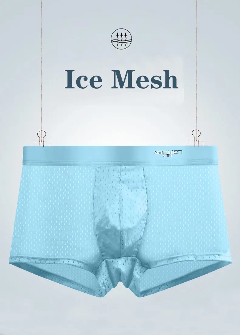 5pcs Men's Boxer Shorts Ice Silk Underwear Plus Size Underpants Cool Breathable Sexy Slim Panties Mesh Lingerie Wholesale Lots 3256809239733736