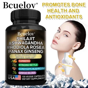 Kapsle Shilajit Pure Himalaya 8 v 1 s Ashwagandha Rhodiola a Panax Ginseng pro podporu mozkových kloubů a imunitního zdraví