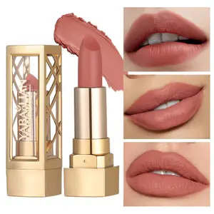 Batom creme antiaderente, brilho labial de longa duração, brilho labial fosco, à prova d'água e fácil de aplicar maquiagem
