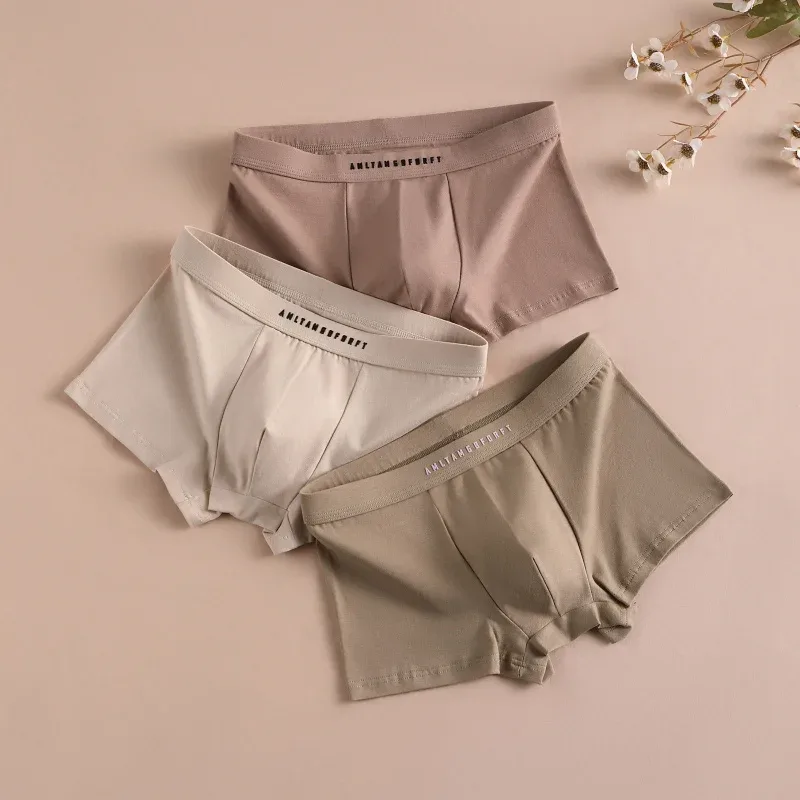 3PCS Sukan Petinju Lelaki Hadiah Bernafas Petinju Sporty Seluar Dalam Persegi Lelaki Seksi Seluar Dalam Seluar Dalam Seluar Dalam Seluar Dalam Seluar Pendek Seluar Dalam