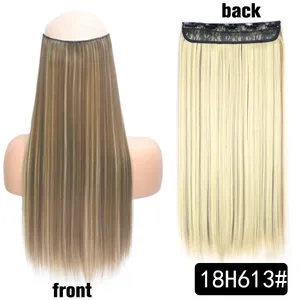 SG66 18H613