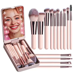 Ensemble de pinceaux de maquillage, avec miroir éclairé, Portable, manche court, lumière LED, Kit de pinceaux de maquillage rechargeables par USB, 14 pièces
