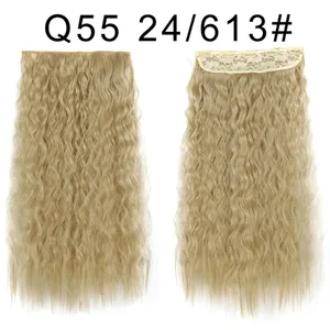 Q55 24 613